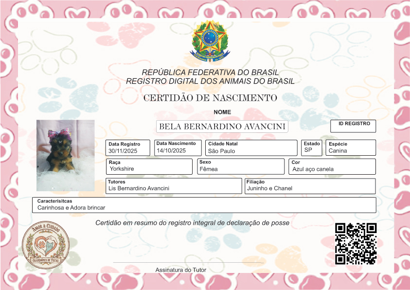 Certidão de Nascimento Pet Premium Impressa