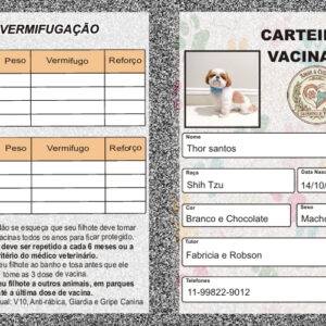 Carteira de Vacinação Premium (Impressa + Entrega)