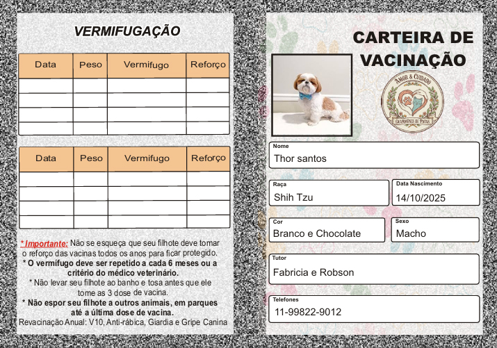 Carteira de Vacinação Digital (Download PDF)